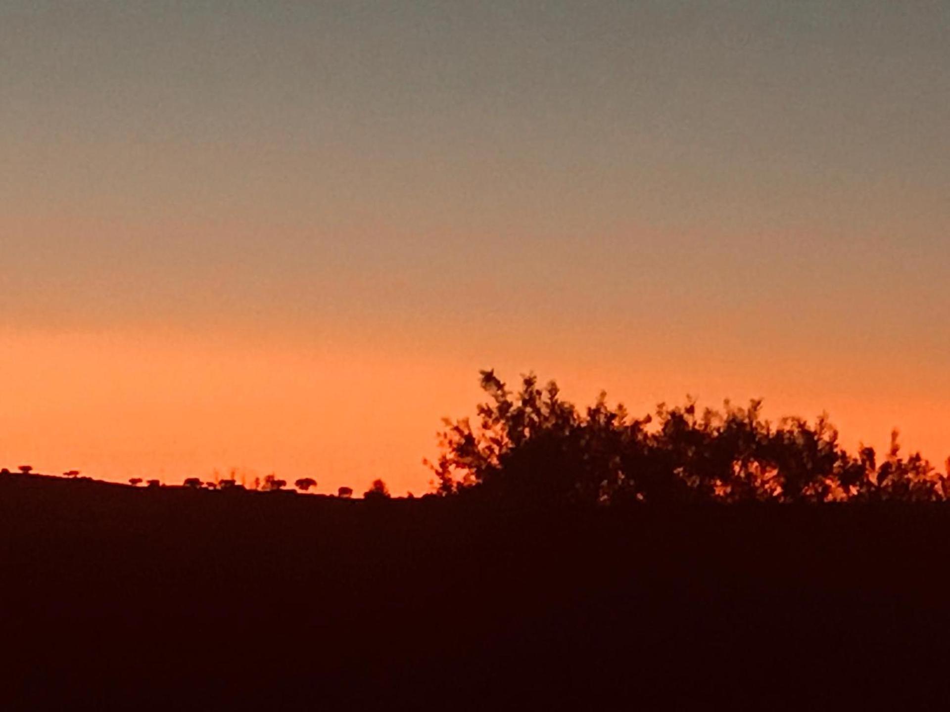 Por-Do-Sol Villa São Pedro do Corval Dış mekan fotoğraf